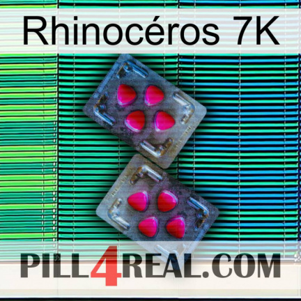 Rhinocéros 7K 15